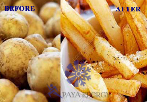 potato1